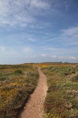 Sentier paradisiaque.