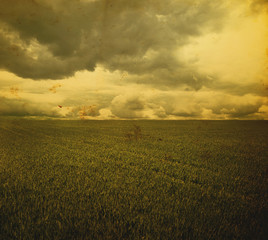 Obraz premium Storm dark clouds over field with grass