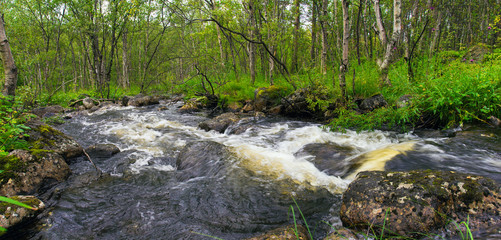 Fast forest river