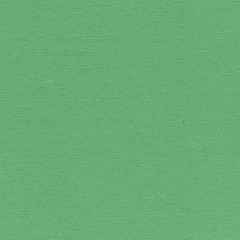 green canvas  grunge background or texture