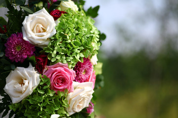 Some beautiful roses