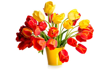 Beautiful bouquet of colorful tulips in yellow pot isolated on w