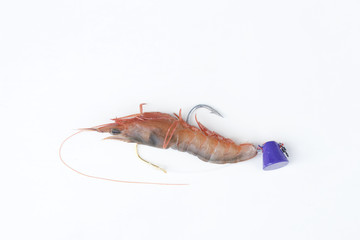 鯛釣りの仕掛け