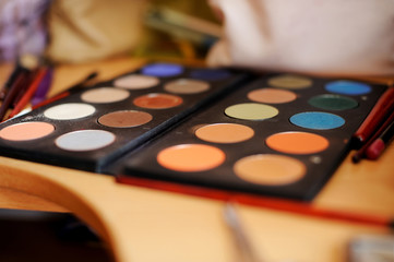 Professional makeup - Makeup palette with many colors