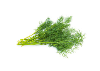 Fresh fennel