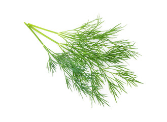 Green dill isolated on white background. Studio macro - 74073448