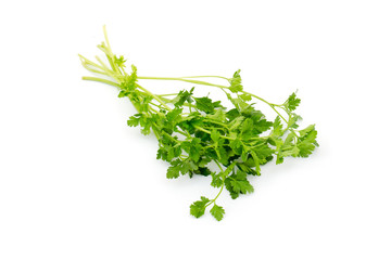 green leaves of parsley isolated on white background