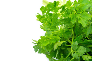Parsley isolated on white