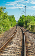 Fototapeta na wymiar Train tracks through forest