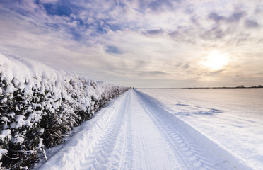 Snow covered lane in Oxfordshire