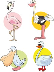 Набор милые птицы мультфильмов