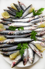Sardinas frescas