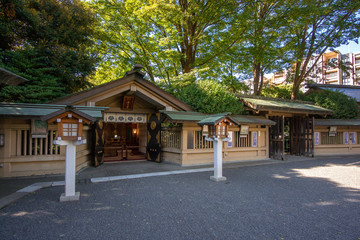 Fototapeta premium 東郷神社