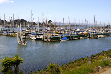 Fototapeta na wymiar Marina de Berkeley, Californie