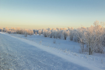 winter Landscape.