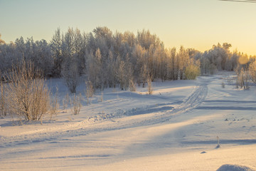 winter Landscape.