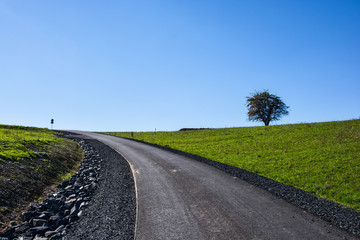 Weg mit Baum