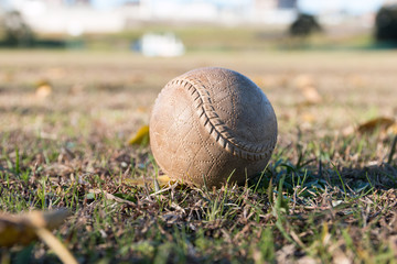 野球場に転がるボール