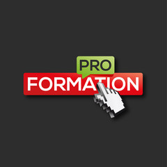 formation pro