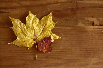 background dry yellow leaves on a wooden background