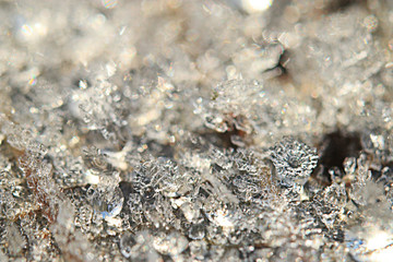 texture of the frost on the dead leaves first frost