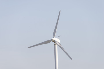 Fototapeta na wymiar wind power