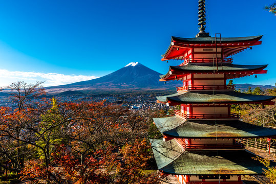 Mt.Fuji and Pagoda