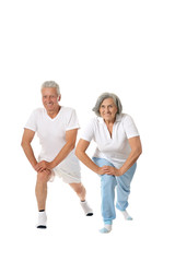 Portrait of  Elder  Couple