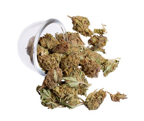 Green Marijuana Buds in Clear Glass on white. Cannabis Legalizat