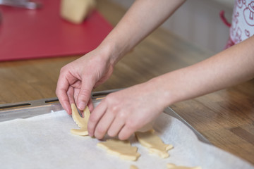Kids baking gingerbread