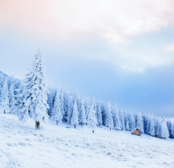 cabin in the mountains in winter