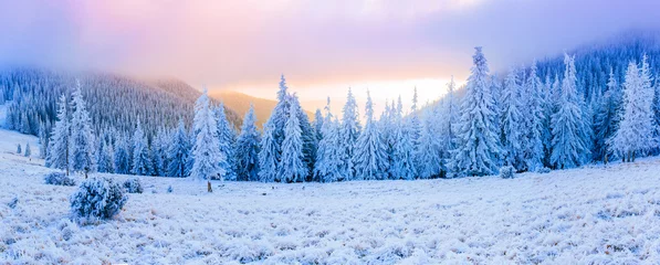 Rolgordijnen winter landscape trees in frost © standret
