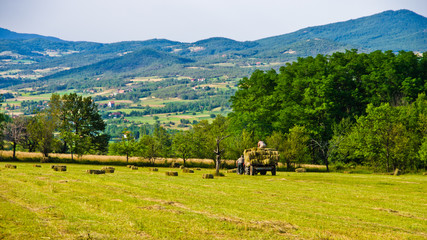 Agricultural fields and landscape near Zlot mountain - obrazy, fototapety, plakaty