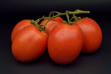 Tomatoes on black background