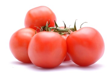 Tomatoes isolated on white background