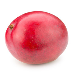 Fototapeta premium mango