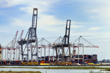Harbor cranes uploading containers for shipping