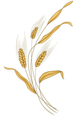 Abstract golden ear of wheat in the wind