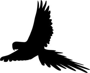 Naklejka premium flying parrot silhouette