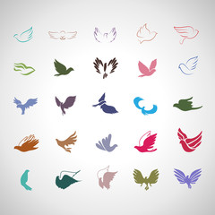Birds icon set isolated on gray background, vector illustration