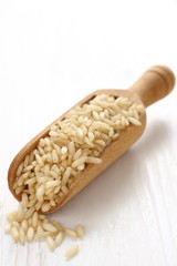 Unpolished rice in a wooden scoop on white background
