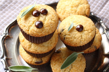 Delicious homemade gluten free muffins with chocolate drops