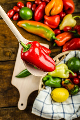 Bio peppers from the garden