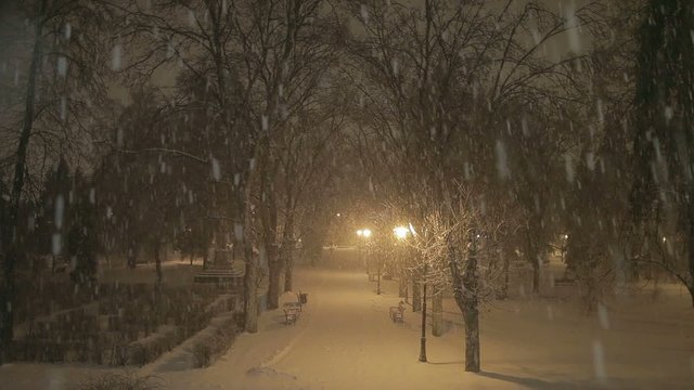 Snowstorm at night in the park