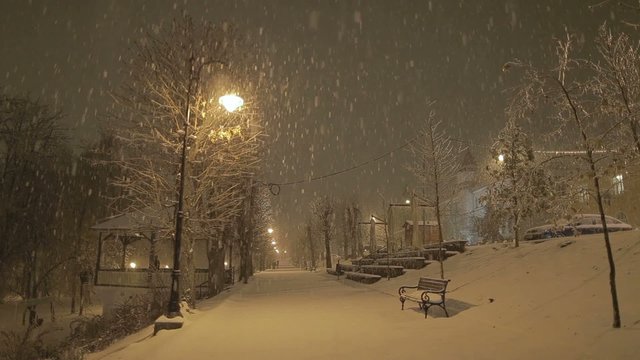 Snow at night in the park
