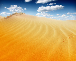 sand desert landscape