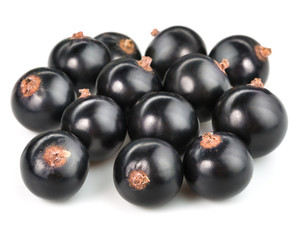 Black currant