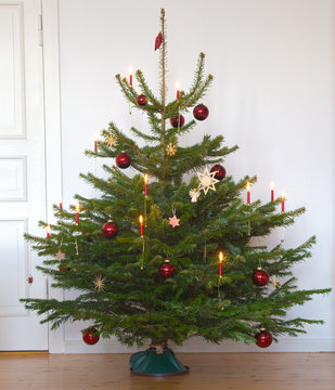 Weihnachtsbaum