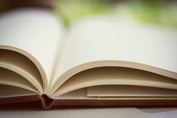 Close up on open book pages.Toned.