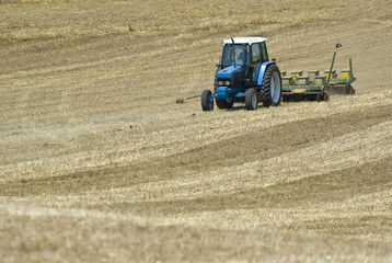 Obraz premium Tractor Seeding Field